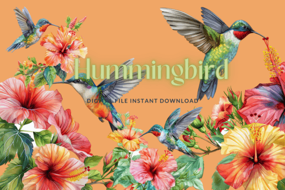 A Designer's Review: Watercolor Hummingbird Graphics