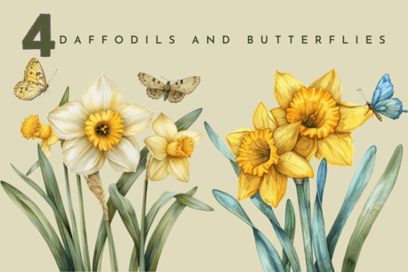 A Watercolor Daffodil Flower Illustration for Craft & Business