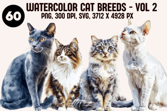 Adding Artistic Flair to Your Cat Content with Volume 2