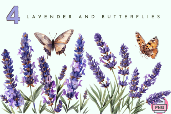 Lavender Flower, Watercolor Butterfly Illustrations for Local Brands