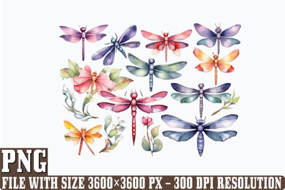Practical Value of Watercolor Dragonflies Graphics for Illustrations
