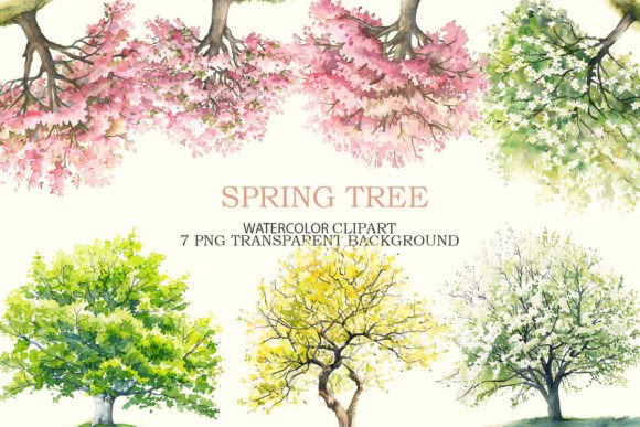Spring Tree Watercolor Clipart Bundle: A Designer's Hands-On Review