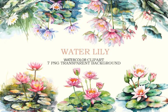 Using Water Lily Graphics for Commercial Illustrations