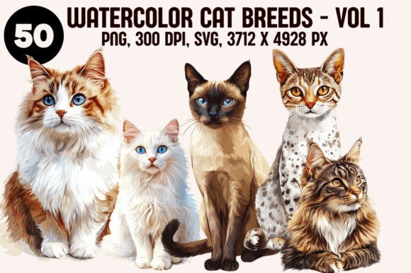 Watercolor Cat Breeds: A Designer's Review of Feline Graphics